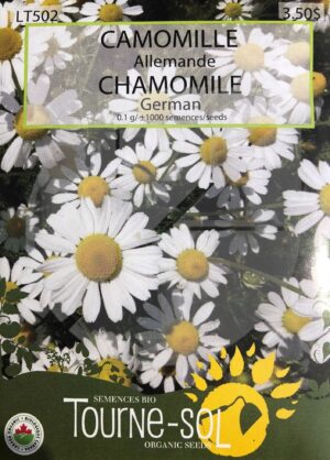 Camomille Allemande / German Chamomilia - Pépinière