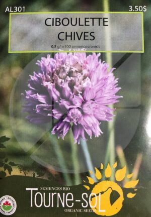 Chives - Pépinière