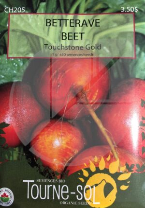 Betterave ‘Touchstone Gold’ / ‘Touchstone Gold’ Beet - Pépinière