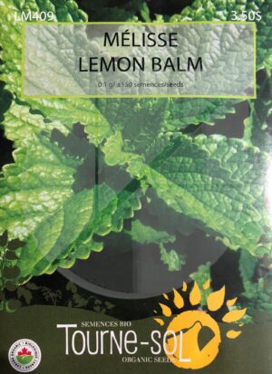 Lemon Balm - Pépinière