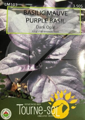 Basilic Mauve ‘Dark Opal’ / Dark Opal’ Purple Basil - Pépinière