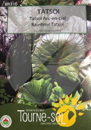 Tatsoi ‘Rainbow’ - Pépinière
