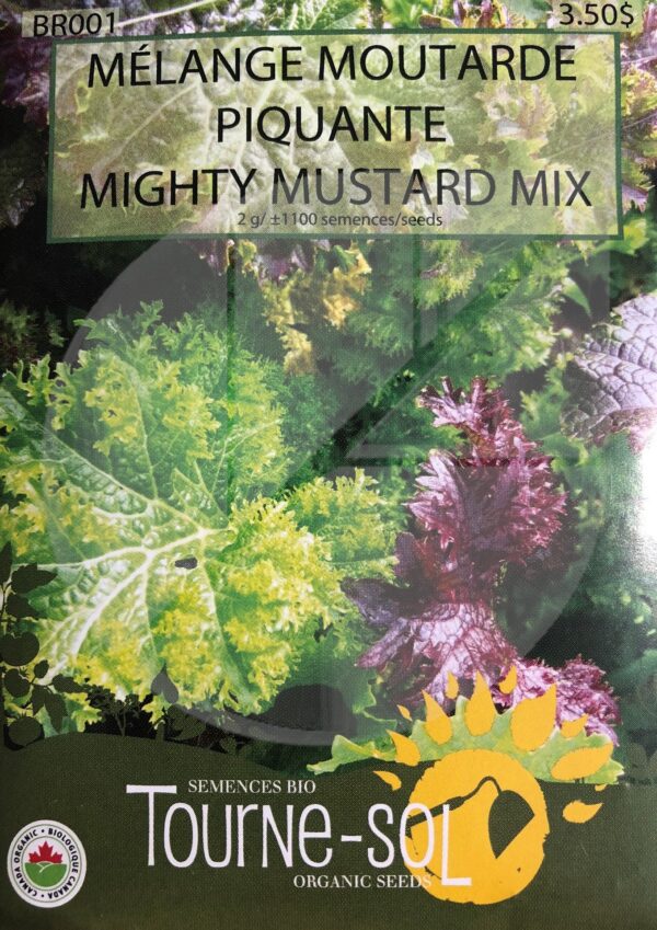 Moutarde Piquante Mélange / Mighty Mustard Mix - Pépinière