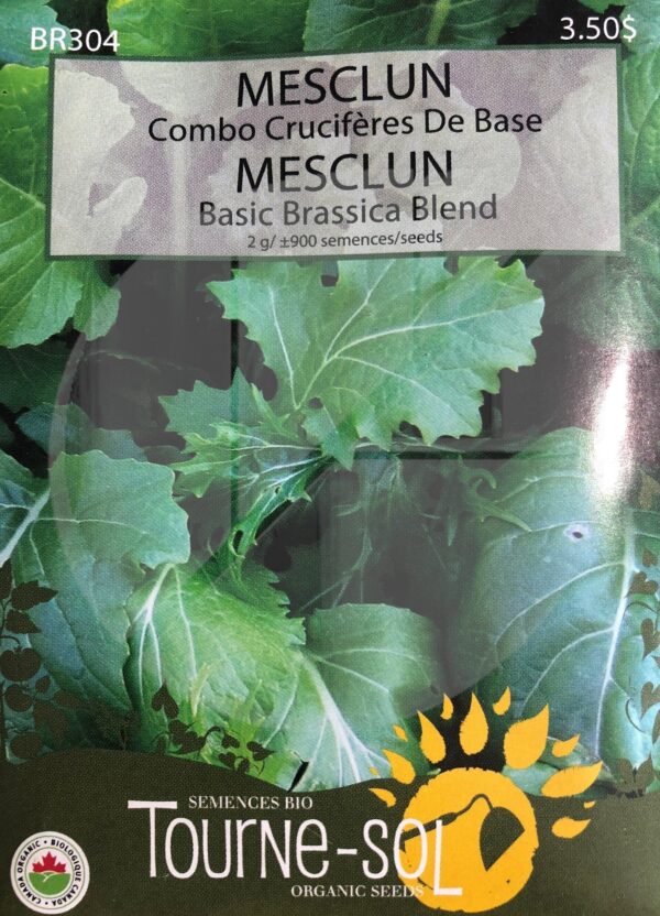 Mesclun Combo ‘Crucifères de Base’ / Mesclun ‘Basic Brassica’ Blend - Pépinière