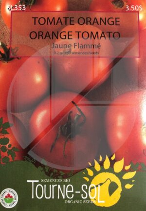 Tomate Orange ‘Jaune Flammée’ / ‘Jaune Flammée’ Orange Tomato - Pépinière