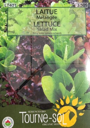 Mixed lettuce - Pépinière