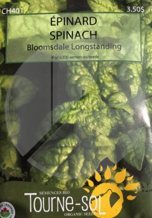 Spinach ‘Bloomsdale Longstanding’ - Pépinière