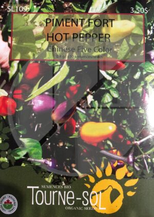 Hot Pepper ‘Chinese Five Color’ - Pépinière