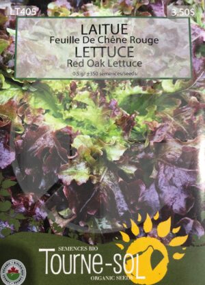 Red Oak Leaf Lettuce - Pépinière
