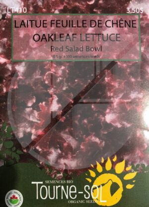Red Oak Leaf Lettuce ‘Salad Bowl’ - Pépinière