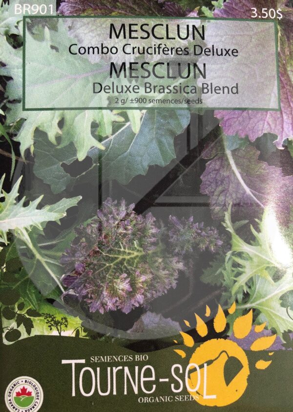 Mesclun Combo ‘Crucifères de Luxe’ / Mesclun ‘Luxary Brassica’ Blend - Pépinière