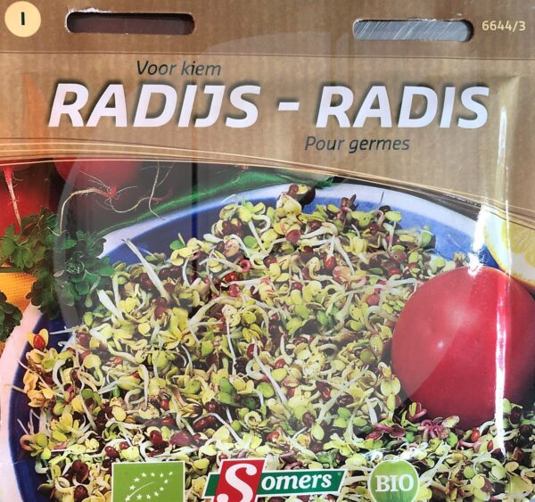 Radis pour Germes / Radish Sprouting - Pépinière