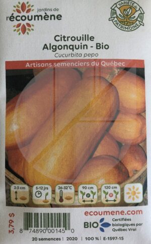 Citrouille Algonquin Bio - Pépinière