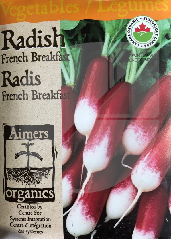 Radis ‘French Breakfast’ / ‘French Breakfast’ Radish - Pépinière