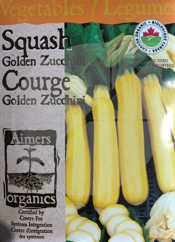 Courge ‘Golden Zucchini’ / ‘Golden Zucchini’ Squash - Pépinière