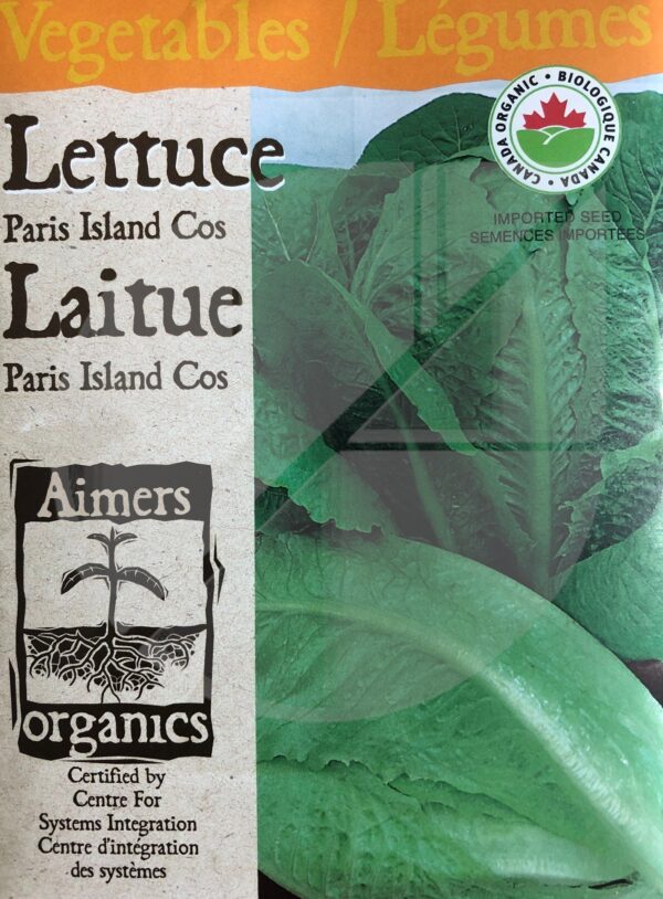 Laitue ‘Paris Island Cos’ / ‘Paris Island Cos’ Lettuce - Pépinière