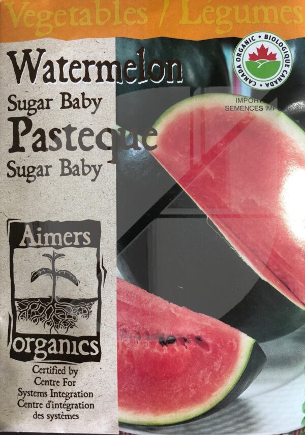 Pastèque ‘Sugar Baby’ / ‘Sugar Baby’ Watermelon - Pépinière