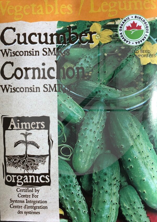Concombre ‘Wisconsin SMR58’ /  ‘Wisconsin SMR58’ Cucumber - Pépinière