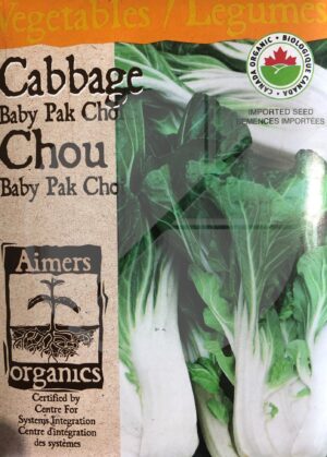 Chou Chinois ‘Baby Pak Choi’ / ‘Baby Pak Choi’ Chinese Cabbage - Pépinière