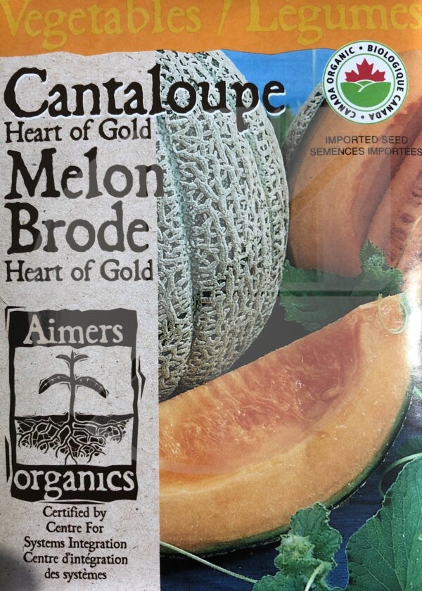 Melon Brodé ‘Heart of Gold’ / ‘Heart of Gold’ Cantaloupe - Pépinière