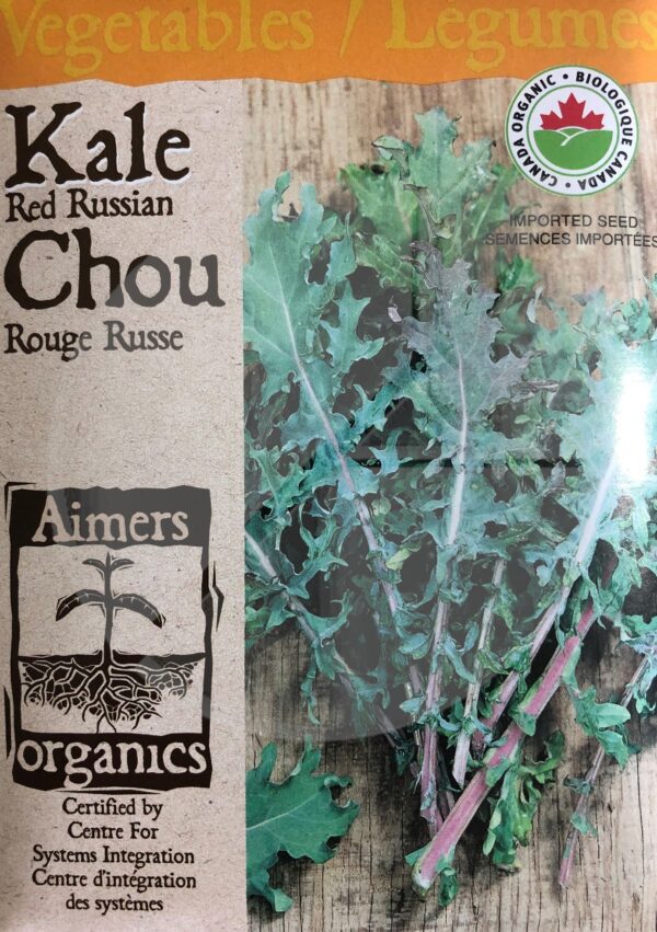 Chou Frisé ‘Russe Rouge’ / ‘Red Russian’ Kale - Pépinière