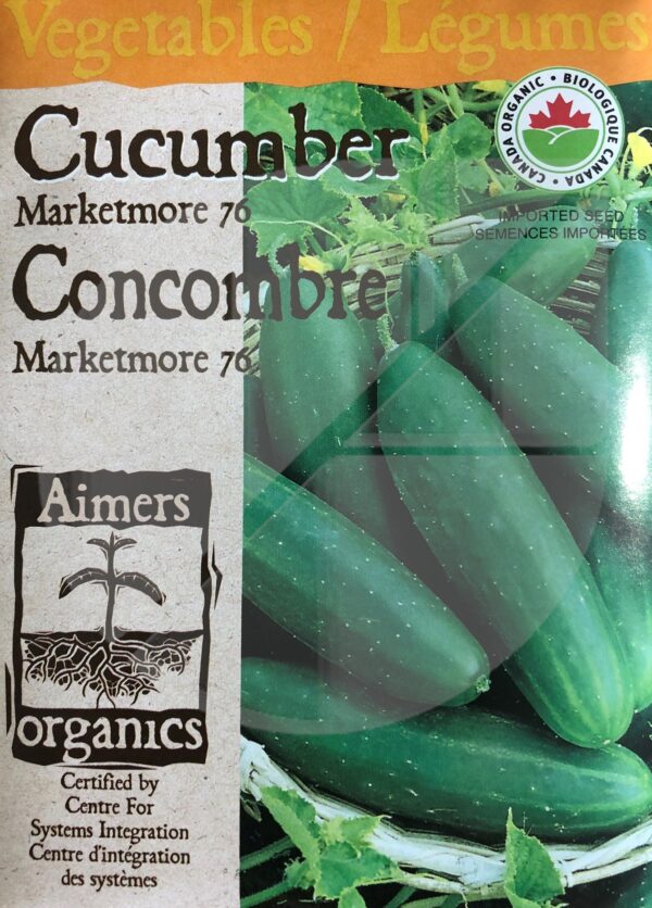 Concombre ‘Marketmore 76’ / ‘Marketmore 76’ Cucumber - Pépinière