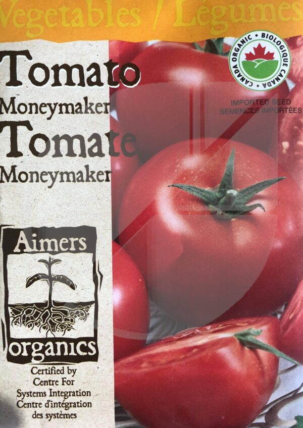 Tomate ‘Moneymaker’ / ‘Moneymaker’ Tomato - Pépinière