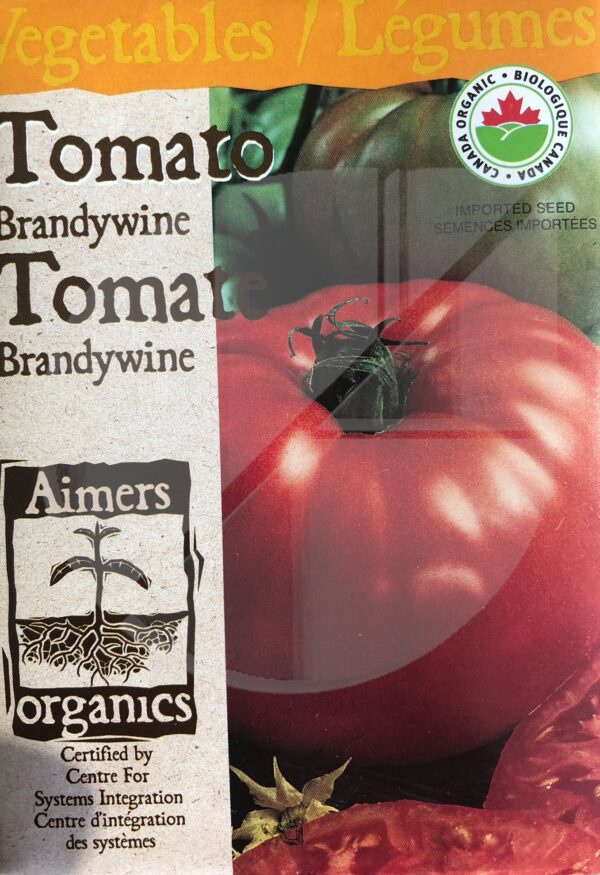 Tomate ‘Brandywine’ / ‘Brandywine’ Tomato - Pépinière