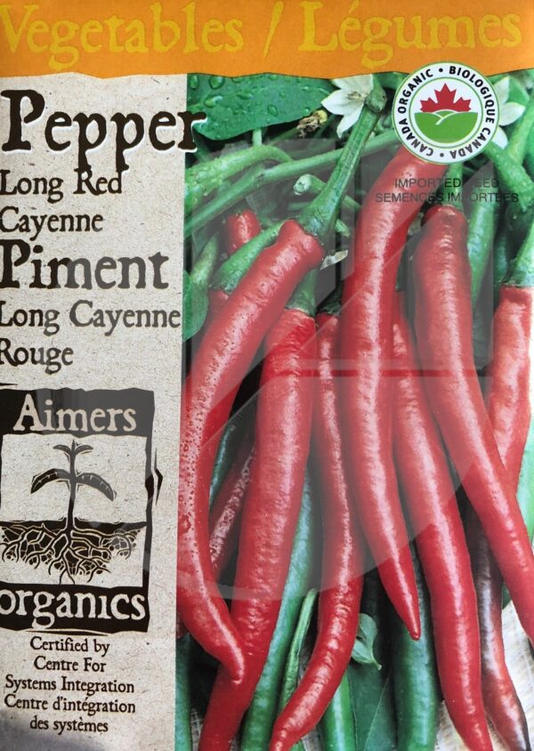 Piment ‘Long Cayenne Rouge’ / ‘Long Red Cayenne’ Pepper - Pépinière