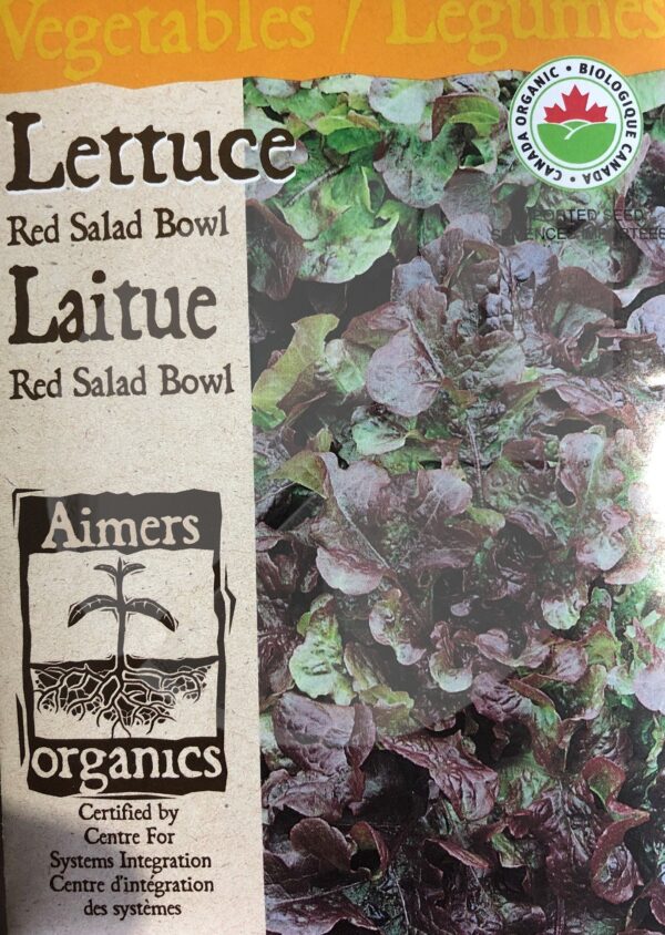 Laitue ‘Red Salad Bowl’ / ‘Red Salade Bowl’ Lettuce - Pépinière