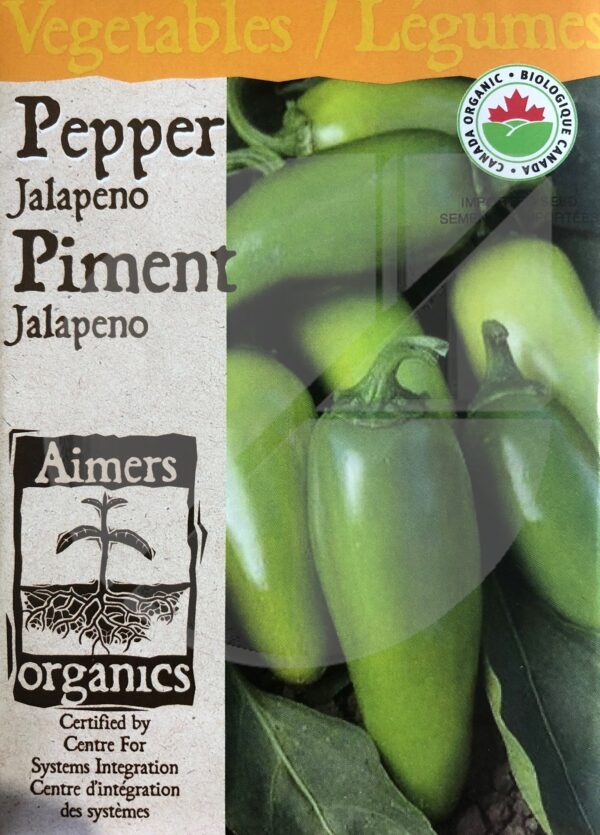 Piment ‘Jalapeño’ / ‘Jalapeño’ Pepper - Pépinière