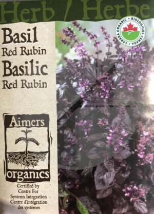 Basilic ‘Red Rubin’ / ‘Red Rubin’ Basil - Pépinière