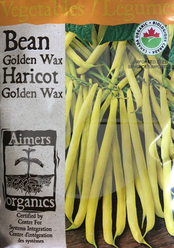 Haricot ‘Golden Wax’ / ‘Golden Wax’ Bean - Pépinière