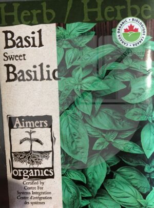 Basilic / Basil Sweet - Pépinière