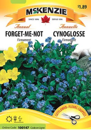 Cynoglosse ‘Firmament » / ‘Firmament’ Forget-Me-Not - Pépinière