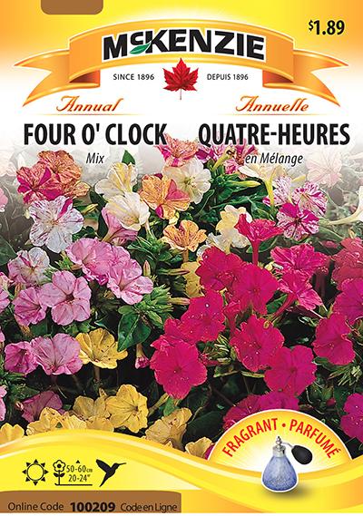 Quatre-Heures Mélange / Four O’Clock Mix - Pépinière