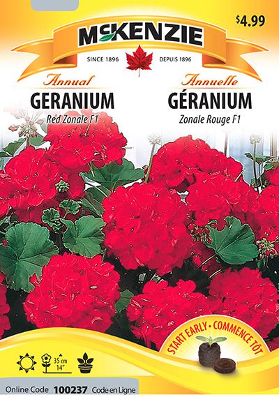 Géranium Zonale Rouge F1 / Red Zonal Geranium F1 - Pépinière
