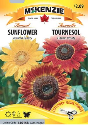 Tournesol ‘Autumn Beauty’ / ‘Autumn Beauty” Sunflower - Pépinière