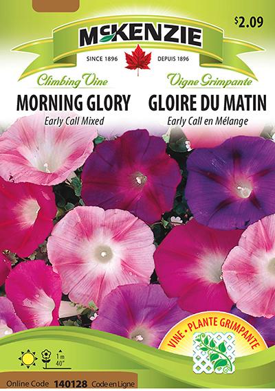 Gloire du Matin ‘Early Call’ Mélange / ‘Early Call’ Morning Glory Mix - Pépinière