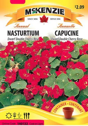 Capucine ‘Dwarf Double Cherry Rose’ / ‘Dwarf Double Cherry Rose’ Nasturtium - Pépinière