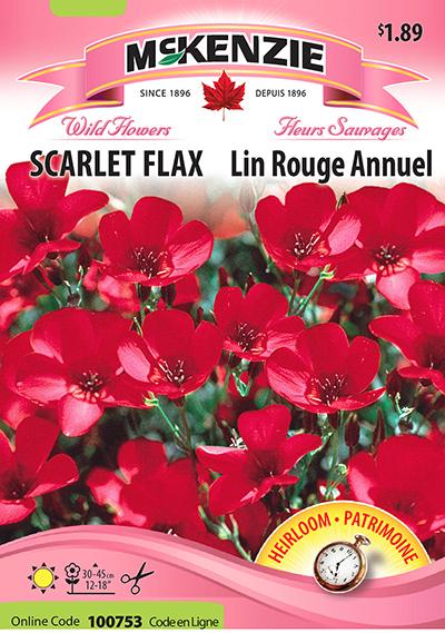 Lin Rouge Annuel / Annual Scarlet Flax - Pépinière