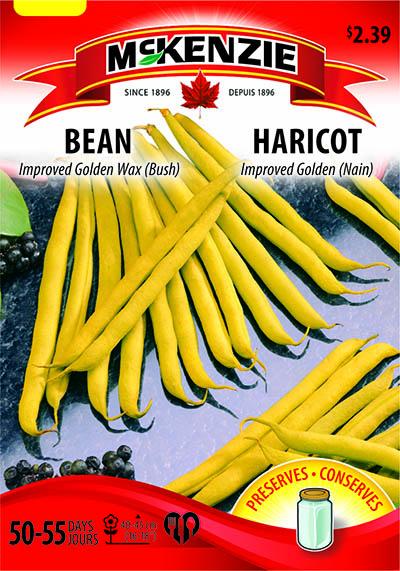 Haricot ‘Improved Golden’ / ‘Improved Golden’ Bean - Pépinière