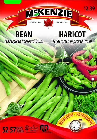 Haricot ‘Tendergreen Improved’ / ‘Tendergreen Improved’ Bean - Pépinière