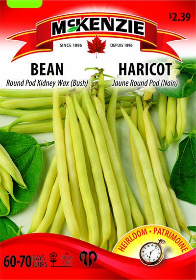 Haricot Jaune ‘Round Pod Kidney Wax’ / ‘Round Pod Kidney Wax’ Yellow Bean - Pépinière