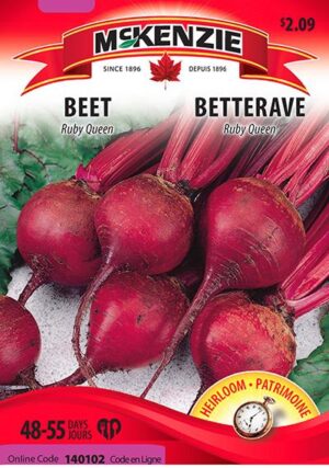 Betterave ‘Ruby Queen’ / ‘Ruby Queen’ Beet - Pépinière