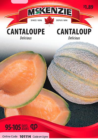 Cantaloup ‘Delicious’ / ‘Delicious’ Cantaloupe - Pépinière