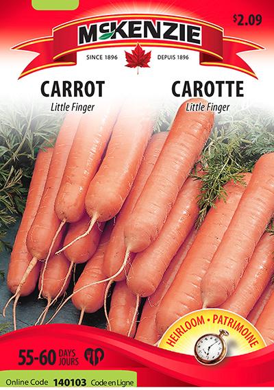 Carotte ‘Little Finger’ / ‘Little Finger’ Carrot - Pépinière
