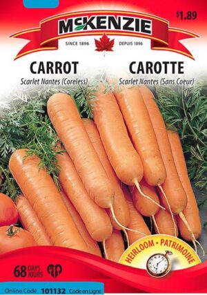 McKenzie / Nantes Carrot ‘Scarlet’ - Pépinière