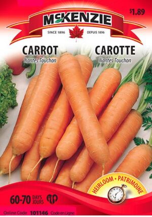 McKenzie / Nantes Carrot ‘Touchon’ - Pépinière