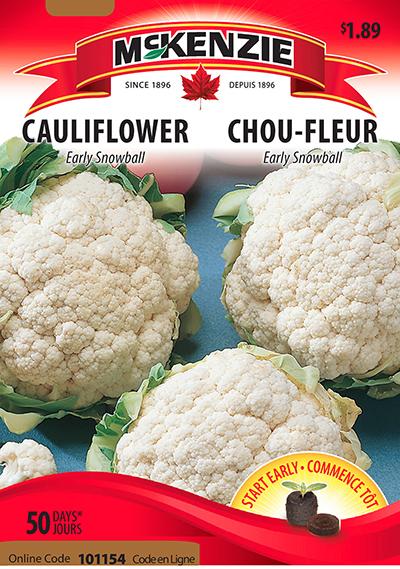 Chou-Fleur ‘Early Snowball’ / ‘Early Snowball’ Cauliflower - Pépinière